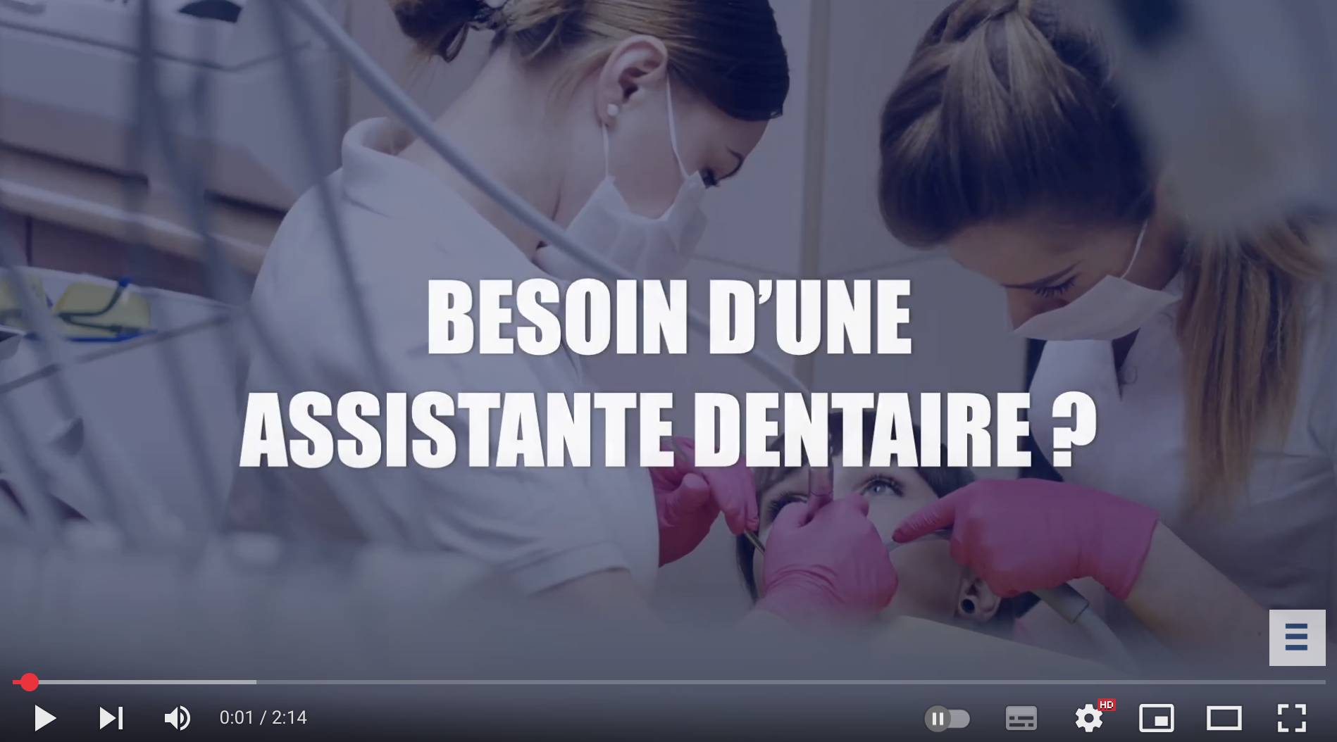 vignette youtube